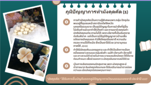 มังคุดคัด