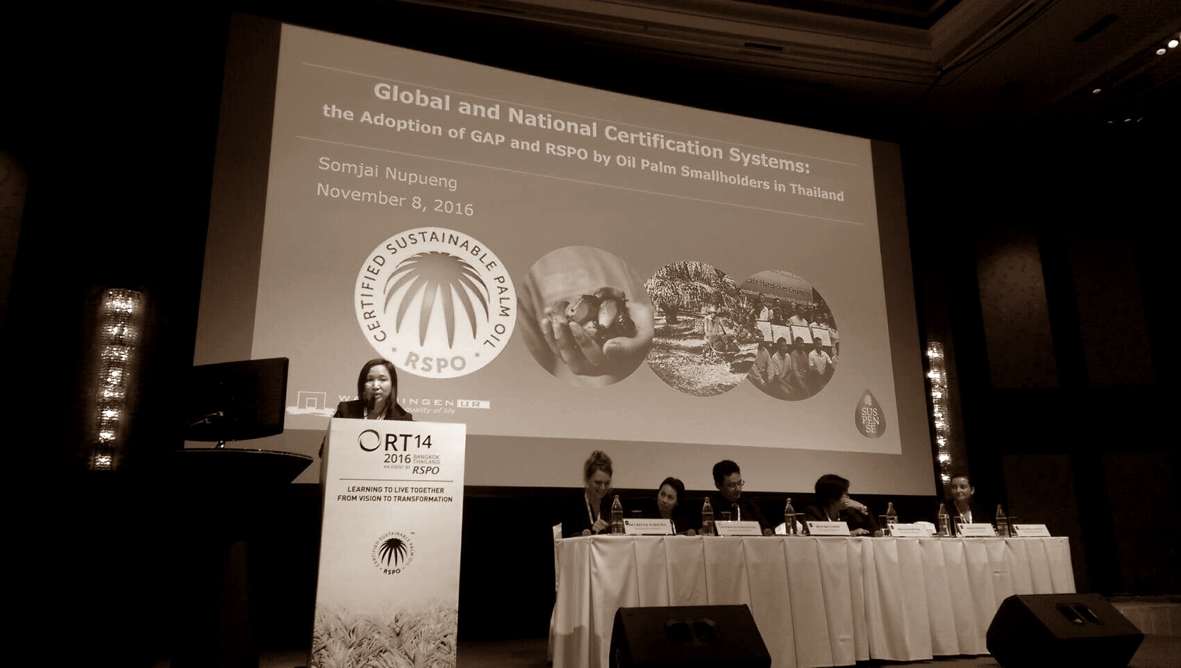 ผศ.สมใจ หนูผึ้ง ได้รับเชิญให้บรรยาย ในการประชุมวิชาการระดับนานาชาติ RT14