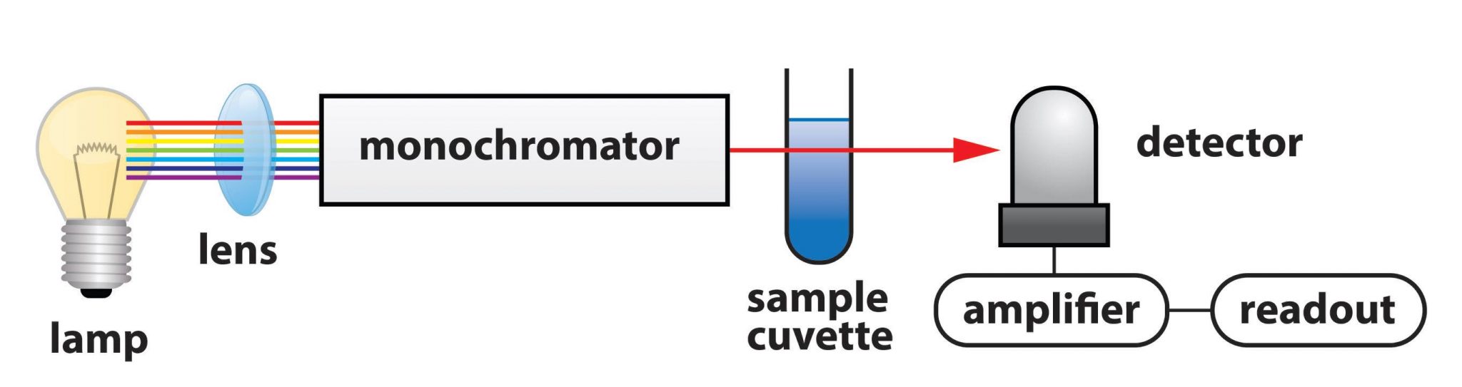 ศูนย์วิจัยความเป็นเลิศด้านวิทยาศาสตร์และวิศวกรรมไม้ มหาวิทยาลัยวลัยลักษณ์