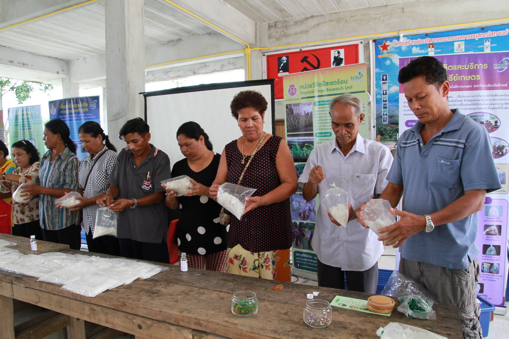 หน่วยวิจัยพืชเขตร้อน ร่วมกับ โครงการวิจัยและพัฒนาพื้นที่ลุ่มน้ำปากพนังฯ สถาบันวิจัยและนวัตกรรม จัดอบรมการเพาะขยายเชื้อไตรโคเดอร์มา