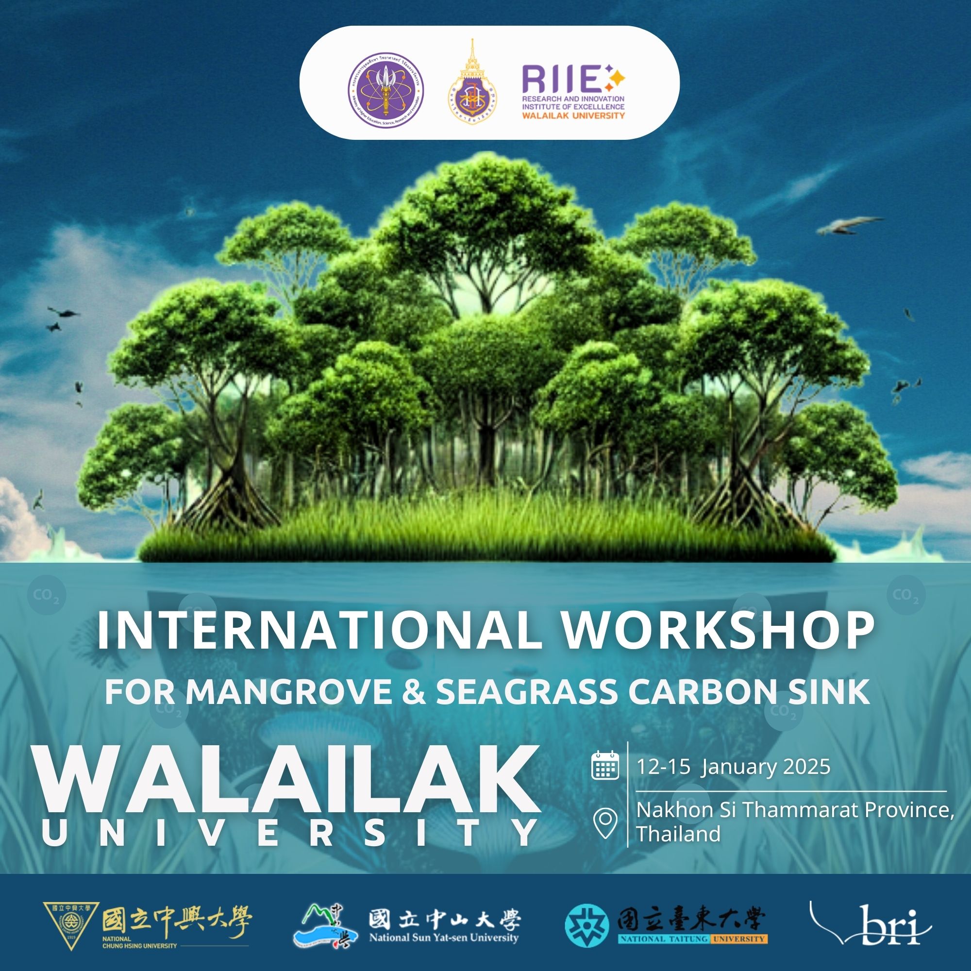 มหาวิทยาลัยวลัยลักษณ์เตรียมจัด “Walailak International Workshop for Mangrove and Seagrass Carbon Sink”